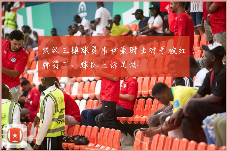武汉三镇球员韦世豪肘击对手被红牌罚下,球队上诉足协